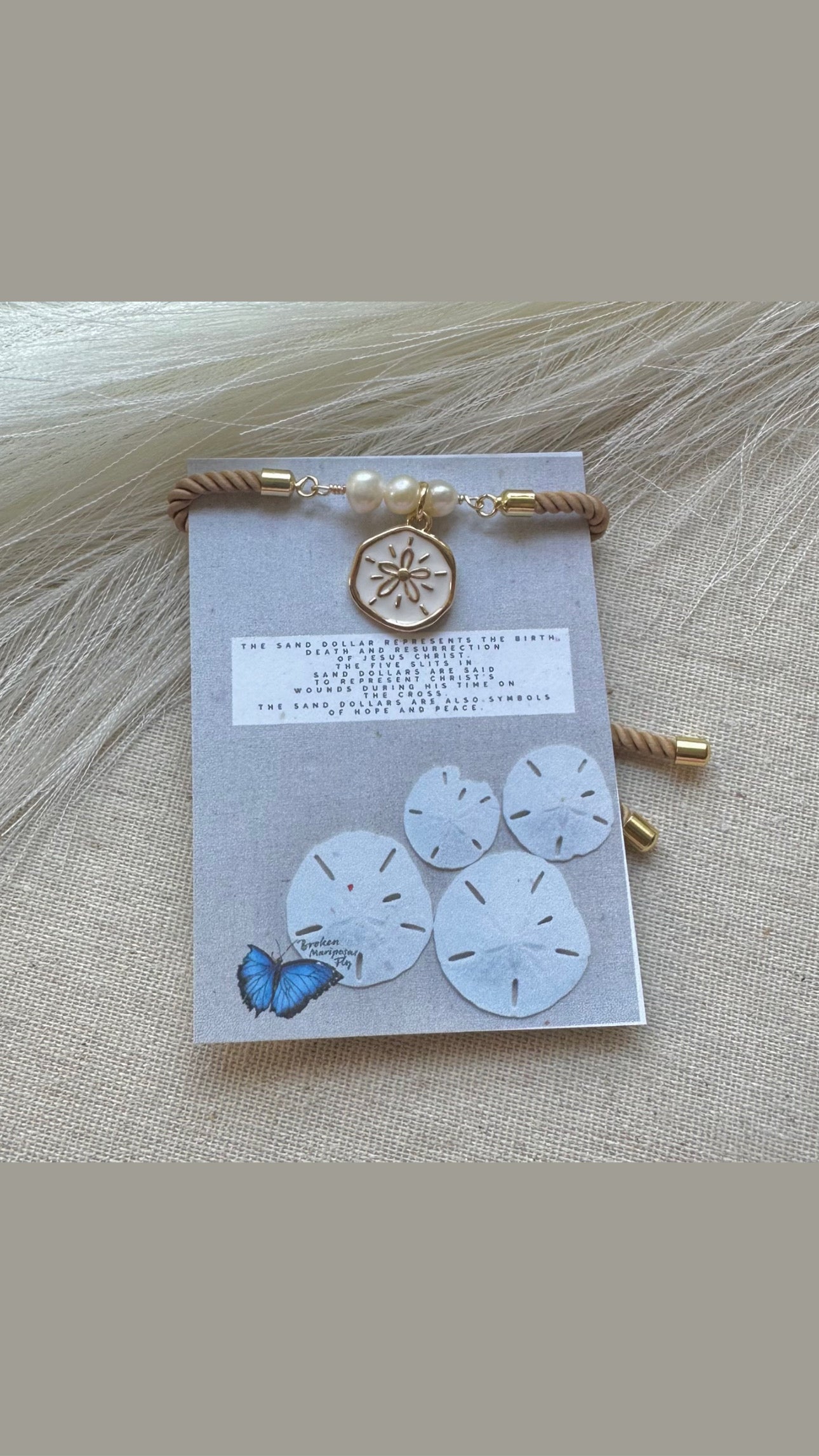Sand Dollar and The Holy Trinity