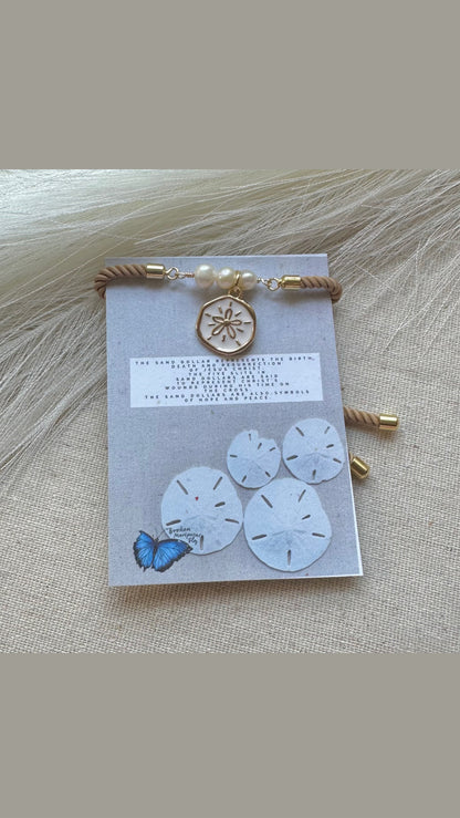 Sand Dollar and The Holy Trinity