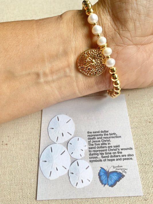 The Sand Dollar